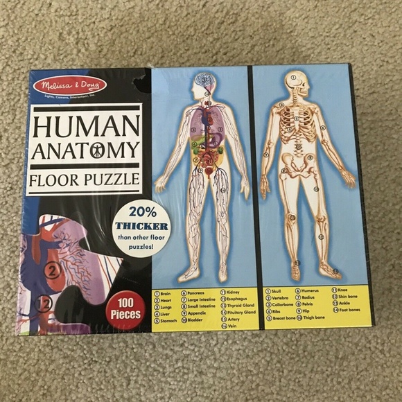 melissa and doug anatomy puzzle